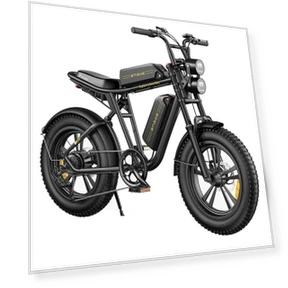Dual Battery Mountain E-Bike — E-Bikes, ENGWE