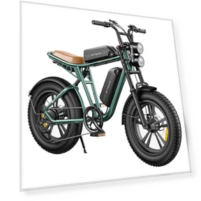 Dual Battery Mountain E-Bike — E-Bikes, ENGWE