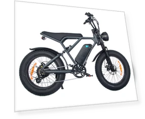 E-Bike with 7-Speed and Disc Brakes — E-Bikes, Onesport