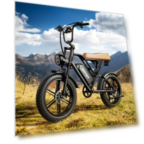 V9-g60 Electric Mountain Bike with Removable Battery, 20"x4.0 Fat Tire — E-Bikes, Amyet