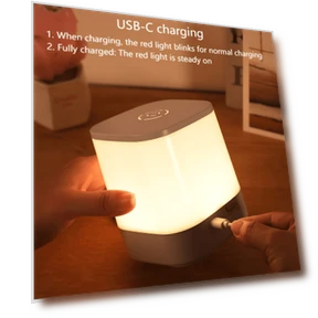 USB Rechargeable LED Night Light with Remote Control — Book Lights