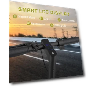 E Scooter for Adults — Electric Vehicles