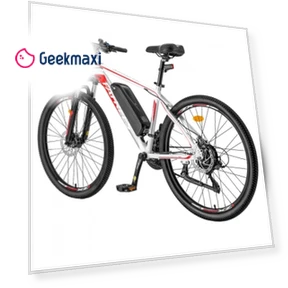 Electric Bike — Batteries, Fafrees