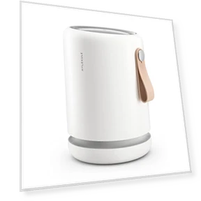 Air Purifier for Small Home Rooms — Activated Carbon Air Purifiers, Molekule