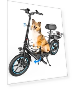 Electric Scooter with Seat — Electric Vehicles, Gyroor
