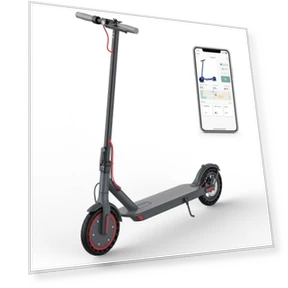 Electric Scooter — Electric Vehicles, Roinside