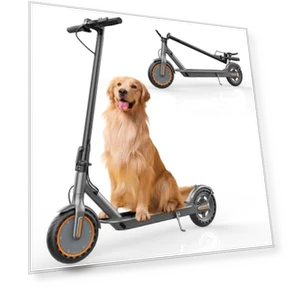 Folding Electric Scooter — Electric Vehicles, sigravy
