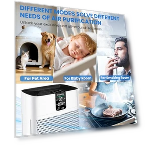 HEPA Air Purifier for Large Rooms — HEPA Air Purifiers