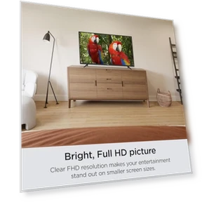 Smart TV - 32-Inch Select Series 1080p Full HD — Television, Roku