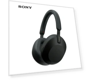 Wireless Headphones — Over-Ear Headphones, Sony