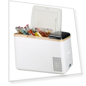 Car Refrigerator Compressor — Coolers & Fridges