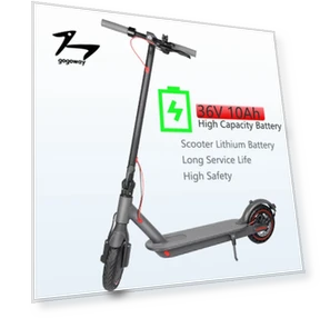 Electric Scooter — Push Scooters, Gogoway