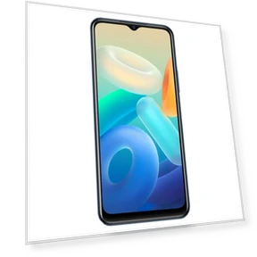 Smartphone with Dual Back Cameras and Side Fingerprint Identification — Battery Savers, VIVO