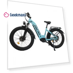 Electric Bike — Electric Self-Balancing Scooters, Orlms
