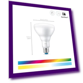 Color LED Smart Bulb — LED, WiZ
