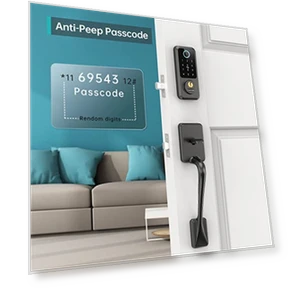 Smart Lock Front Door - Keyless Entry Door Lock with Handle Set — Biometric Security, hornbill