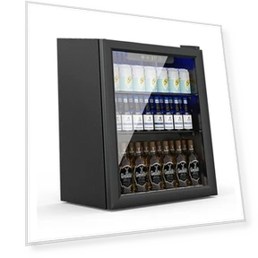 Compact Freestanding Beverage Refrigerator — Mini Fridges, Erivess