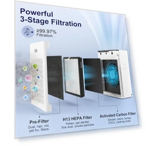 Powerful Air Purifier for Home Large Room — HEPA Air Purifiers, ToLife
