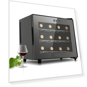 Upgrade 12 Bottle Wine Fridge — Drink Coolers, JINJUNYE