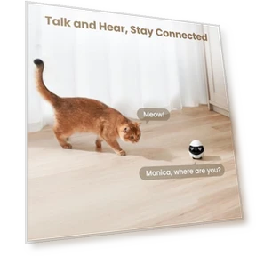 Indoor Security Camera Robot — Cameras & Monitors, Enabot