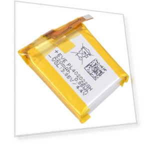 Battery Replacement — Coin & Button Cells, HUAMI