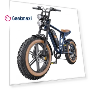 Electric Bike MileZoom 1 — Electric Vehicles, HillMiles