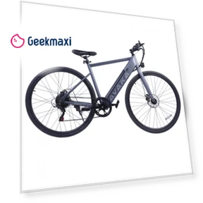 Electric Bike — Electric Vehicles, AVAKA
