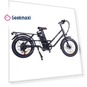 Electric Bike — Electric Self-Balancing Scooters, GOGOBEST