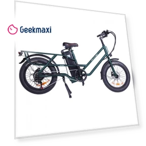 Electric Bike — Electric Self-Balancing Scooters, GOGOBEST