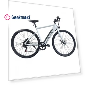 Electric Bike — Electric Vehicles, AVAKA