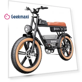Electric Bike — Electric Vehicles, Ridstar