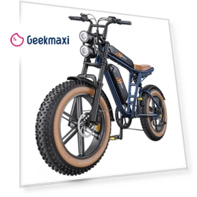 Electric Bike — Electric Vehicles, HillMiles