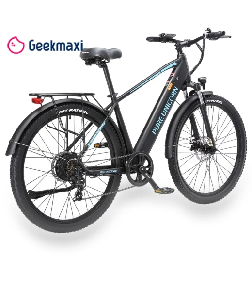 Electric Bike — Electric Self-Balancing Scooters, PURE UNICORN