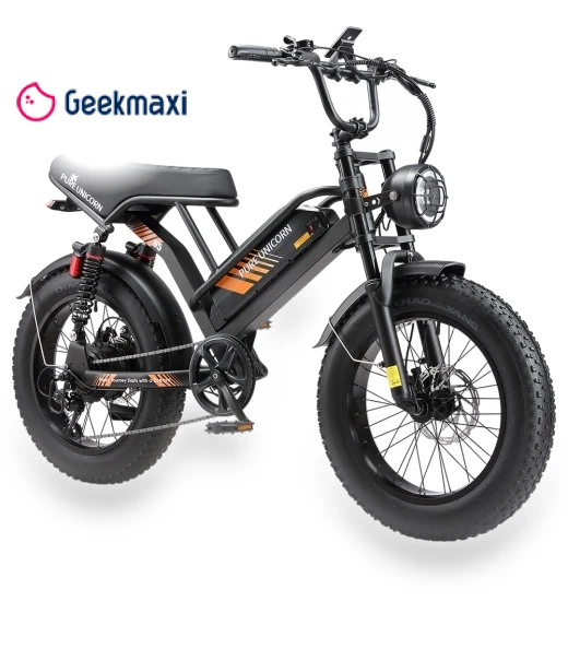 Electric Bike — Electric Self-Balancing Scooters, PURE UNICORN