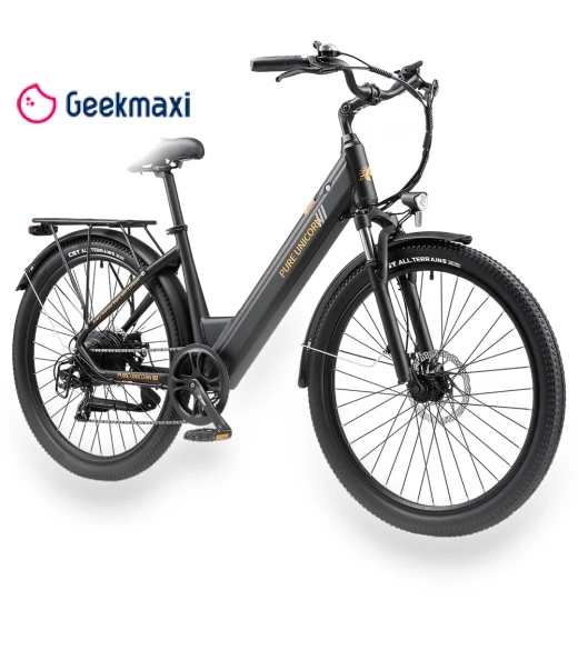 Electric Bike — Electric Self-Balancing Scooters, PURE UNICORN