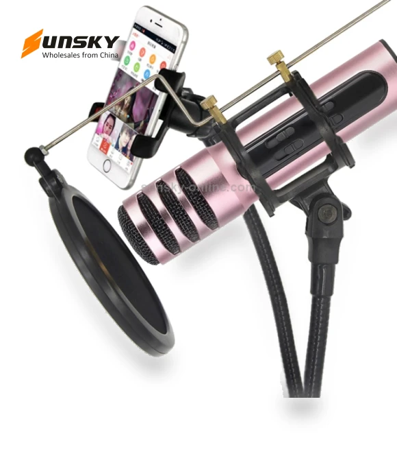 Condenser Microphone Dual Mobile Phone Karaoke Live Singing Microphone — Condenser, BGN
