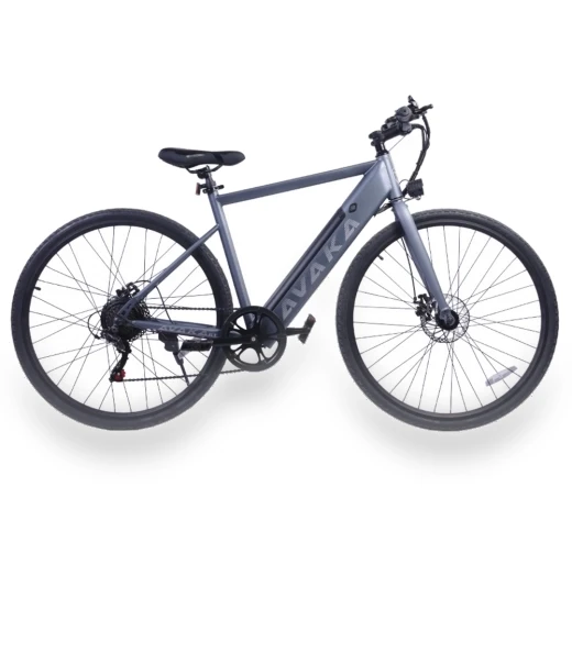 Electric Bike — Electric Vehicles, AVAKA