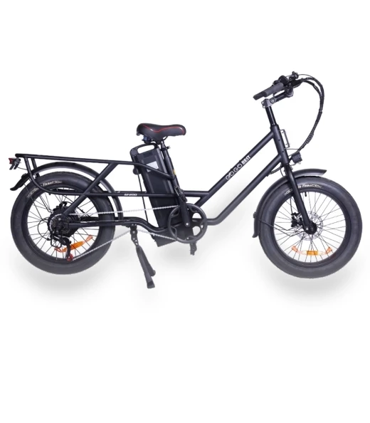 Electric Bike — Electric Self-Balancing Scooters, GOGOBEST