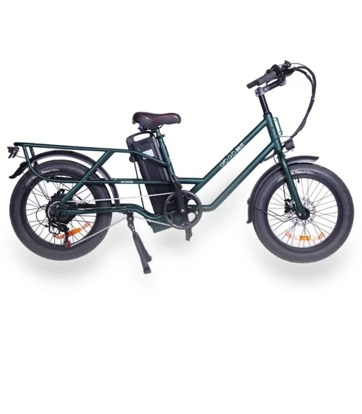 Electric Bike — Electric Self-Balancing Scooters, GOGOBEST