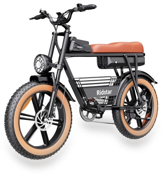 Electric Bike — Electric Vehicles, Ridstar