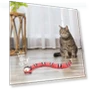 Smart Sensing Snake Electron Interactive Cat Toy — Interactive Animal Companions