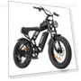Mini Electric Bike — Electric Self-Balancing Scooters, Ridstar