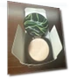 Air Cushion CC Cream Mushroom Head Foundation — Foundation, SuperThinker