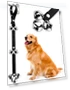 Premium Adjustable Dog Doorbells for Potty Training — Doorbells, BLUETREE