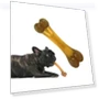 Dog Molar Stick Cleaning Bite Toy — Chew Toys