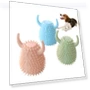 Dog Toothbrush Chewing Toy — Chew Toys