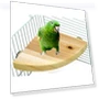Fan-Shaped Platform Station Board Hamster Springboard Rest Platform — Exercise Wheels, Parrot Log