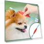 Dual Head Toothbrush for Pets — Dental Care