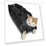 Pet Bathing Bag — Health