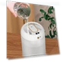 Dual-Nozzle Humidifier with Timer and Ambient Light — Air Moisturizers